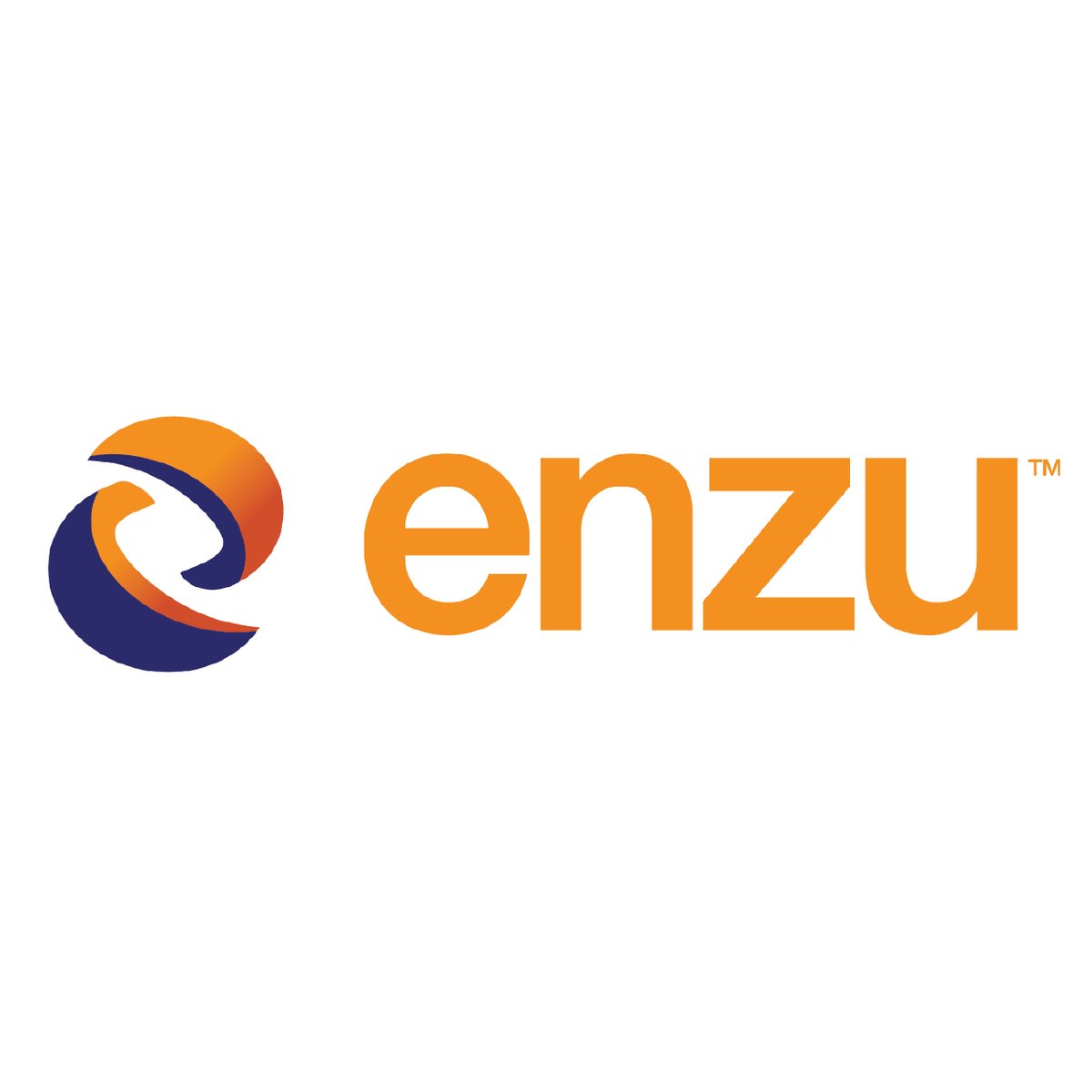 Enzu-01